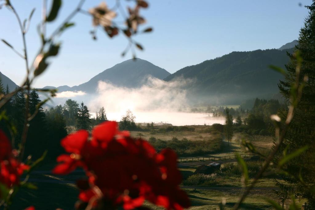 Kraners Alpenhof Bio Bed And Breakfast Pension Вайсензе Екстер'єр фото